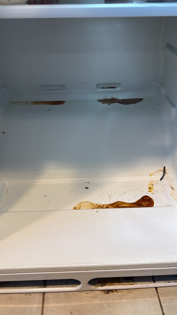 Appliance interior before cleaning