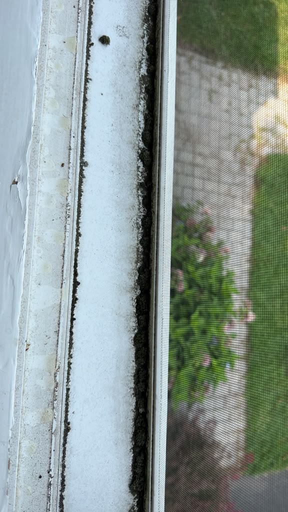 Window track before cleaning